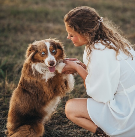 Entry image for Drake. Clicking this image will show a larger photo