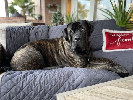 Entry image for Conway. Clicking this image will show a larger photo