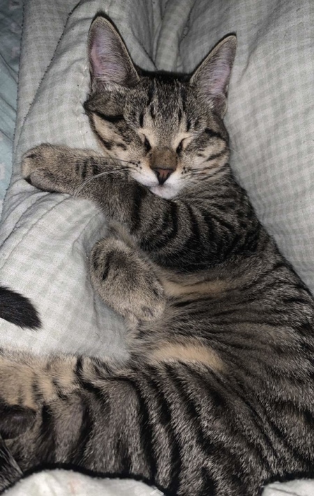 Entry image for Emma. Clicking this image will show a larger photo