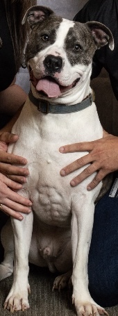 Entry image for Zeus. Clicking this image will show a larger photo