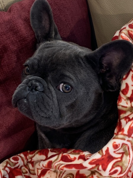 Entry image for RubyKate Cannon. Clicking this image will show a larger photo