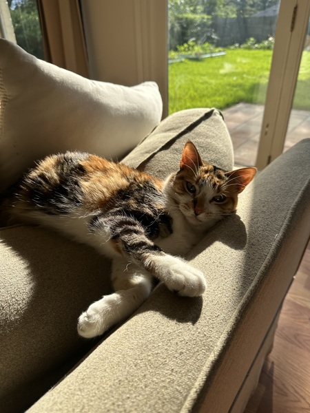 Entry image for Bhad Bhabie aka Baby. Clicking this image will show a larger photo