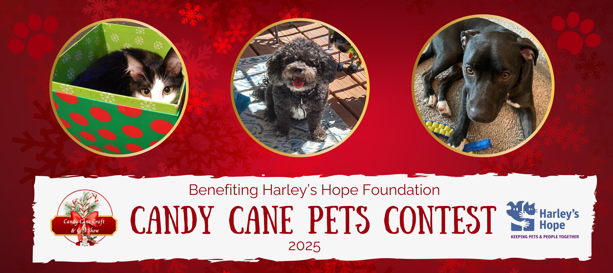 Banner for Candy Cane Pets Contest