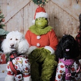 Entry image for Elle & Bailey