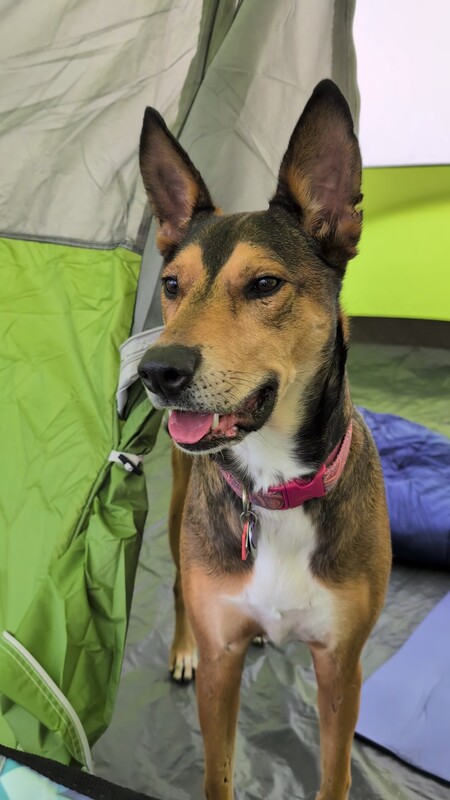 Entry image for Casey Jones . Clicking this image will show a larger photo