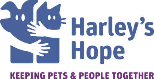 https://www.harleys-hopefoundation.org/
