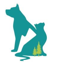 Logo for Saving Grace 2026 Calendar Contest