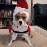 Entry image for Pudge