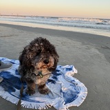 Entry image for Nobu