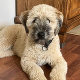 Entry image for Evan 