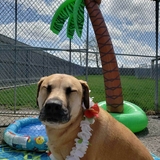 Entry image for Jordy 