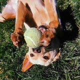 Entry image for Jersey