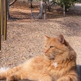 Entry image for Tabor