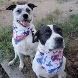 Entry image for Lucy & Leila