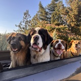 Entry image for Joey, Bert, Billy & Marj