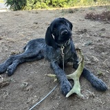 Entry image for Delta