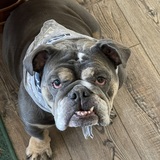 Entry image for Frannie Rae