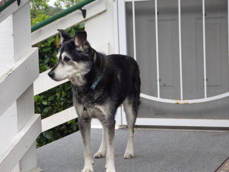 Entry image for Kia. Clicking this image will show a larger photo