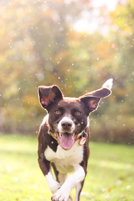 Entry image for May. Clicking this image will show a larger photo