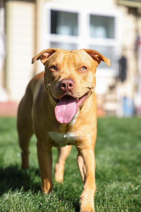 Entry image for Tucker. Clicking this image will show a larger photo