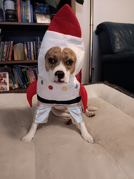 Entry image for Pudge. Clicking this image will show a larger photo