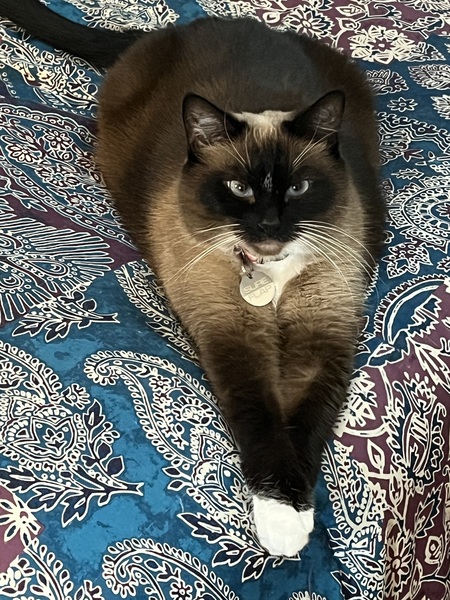 Entry image for Missy. Clicking this image will show a larger photo