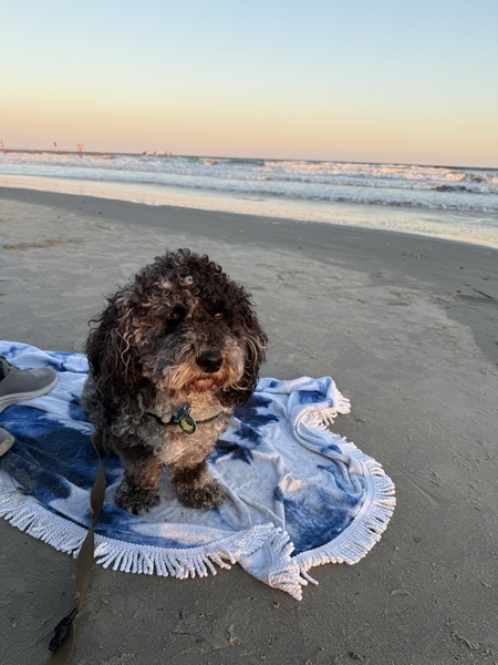 Entry image for Nobu. Clicking this image will show a larger photo