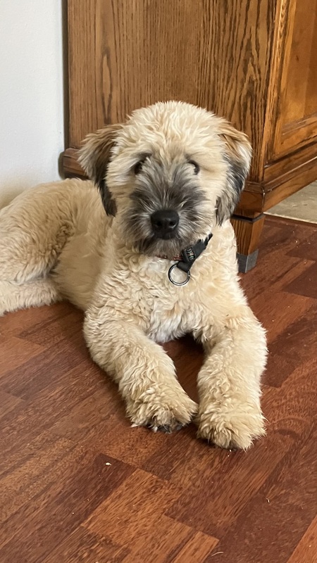 Entry image for Evan . Clicking this image will show a larger photo