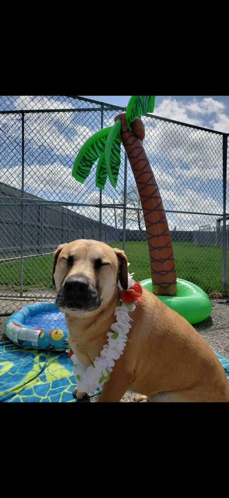 Entry image for Jordy . Clicking this image will show a larger photo