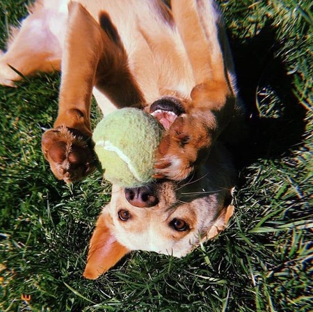 Entry image for Jersey. Clicking this image will show a larger photo