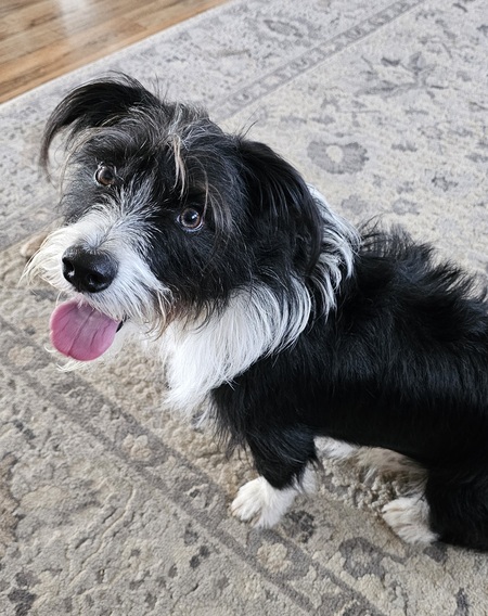 Entry image for Max. Clicking this image will show a larger photo