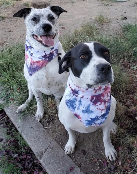 Entry image for Lucy & Leila. Clicking this image will show a larger photo