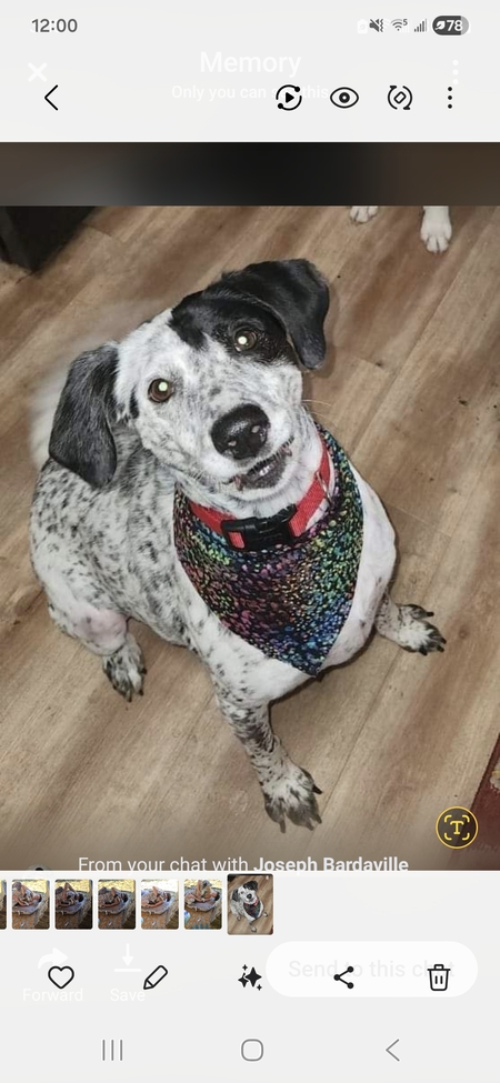 Entry image for Harper Lee. Clicking this image will show a larger photo