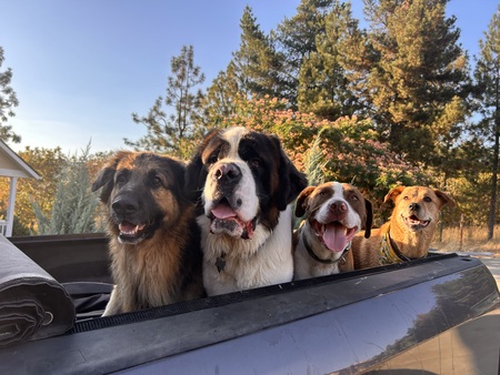 Entry image for Joey, Bert, Billy & Marj. Clicking this image will show a larger photo