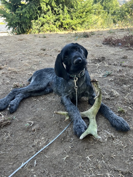 Entry image for Delta. Clicking this image will show a larger photo