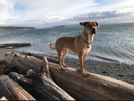 Entry image for Marj. Clicking this image will show a larger photo