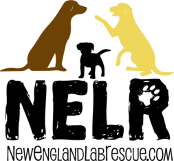 Logo for 2026 Calendar Photo Contest