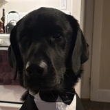 Entry image for Reilly