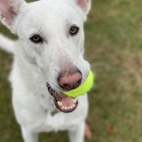 Entry image for Jack f/k/a Gabriel