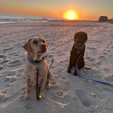 Entry image for Klay and Thunder 