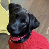 Entry image for Claire