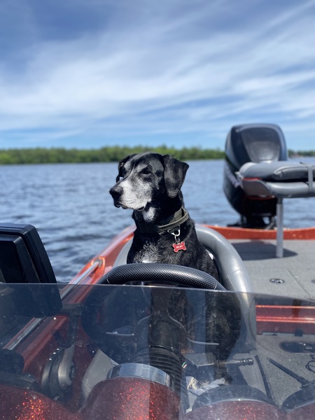 Entry image for Remy. Clicking this image will show a larger photo