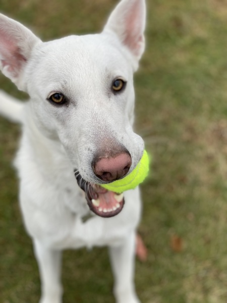 Entry image for Jack f/k/a Gabriel. Clicking this image will show a larger photo