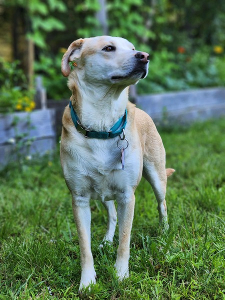 Entry image for Blu. Clicking this image will show a larger photo