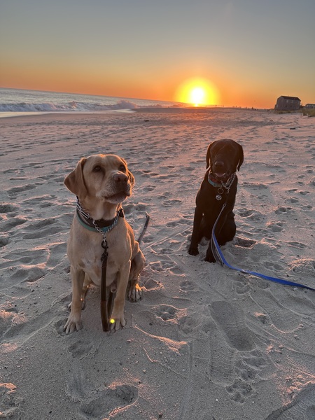 Entry image for Klay and Thunder . Clicking this image will show a larger photo