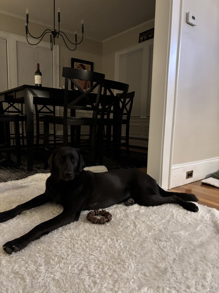 Entry image for Doris. Clicking this image will show a larger photo