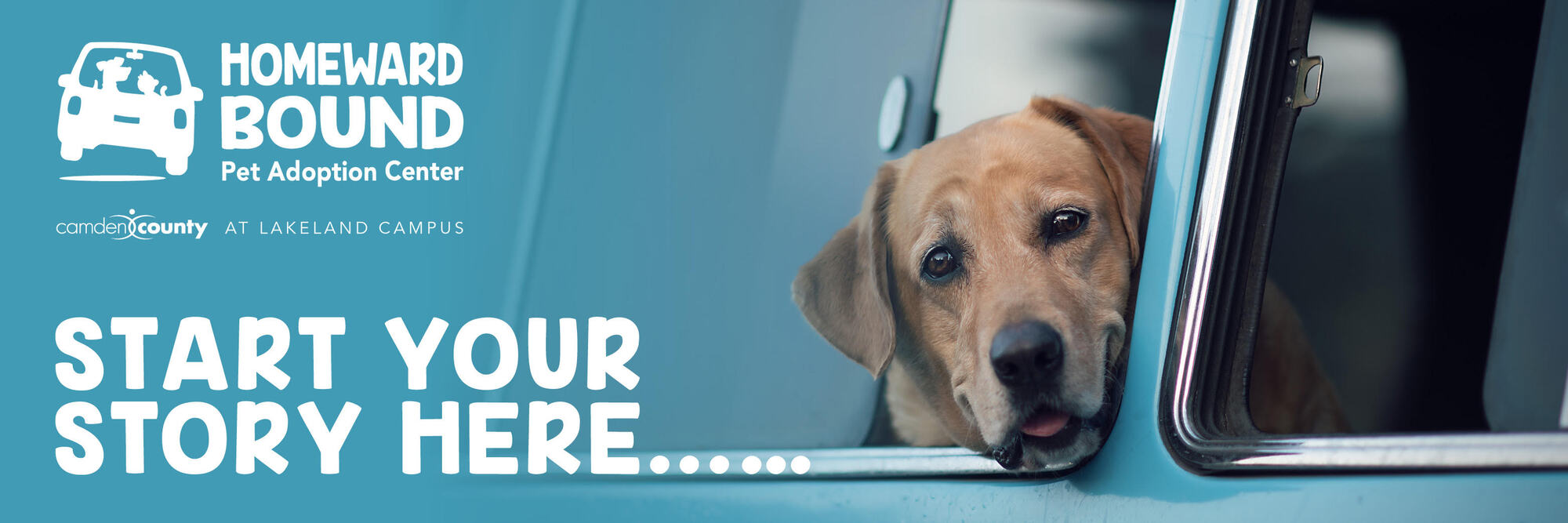 Banner for 2026 Homeward Bound Alumni Calendar Contest