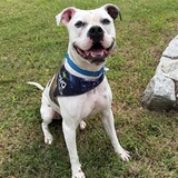 Entry image for Barnaby