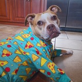 Entry image for Roxie