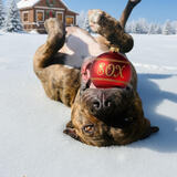 Entry image for Sox Kanopka